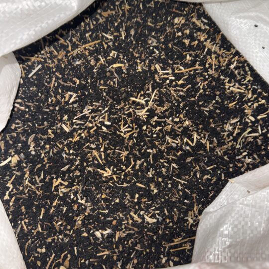 Çörek Otu 10 KG (Tohumluk)